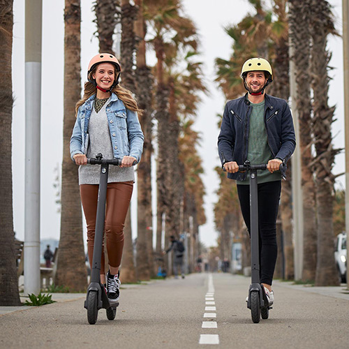 Ninebot Electric Scooter E22 Black